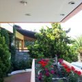 Thumbnail of http://Hotel%20Petridis%20-%20Pefkohori,%20Halkidiki,%20Grčka