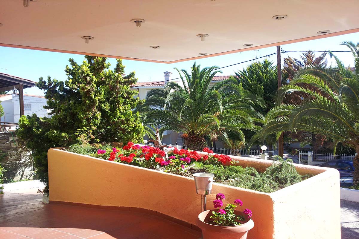 Hotel Petridis -smestaj u Pefkohoriju