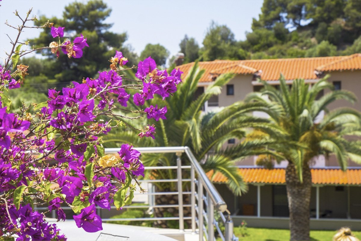 Lagomandra Beach Hotel - Neos Marmaras