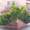 Thumbnail of http://Vila%20Nautilus%20-%20Paralia,%20Pieria,%20Grčka%20-%20AquaTravel.rs