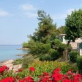 Thumbnail of http://Makryammos%20Bungalows,%20Tasos,%20Grčka,%20Letovanje%20-%20AquaTravel.rs