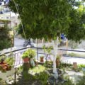 Thumbnail of http://Vila%20Kostas%20-%20Parga,%20Grčka%20-%20Letovanje%20-%20AquaTravel.rs
