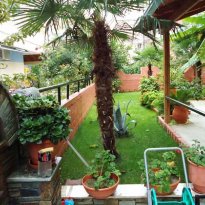 Vila Estia, dvorište - Apartmani u Paraliji