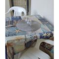 Thumbnail of http://VILA%20SOFI%20STAVROS%20-%20GRCKA%20LETOVANJA%20-%20AQUA%20TRAVEL%20RS
