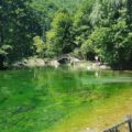 Thumbnail of http://Vrelo%20bosne%20-%20Sarajevo%20-%20AquaTravel.rs