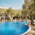 Thumbnail of http://HOTEL%20VILE%20OLIVA%20-%20AquaTravel.rs
