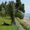 Thumbnail of http://Hotel%20Lily%20Ann%20Boutique%20bašta