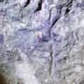 Thumbnail of http://Izlet%20Vlaška%20magija