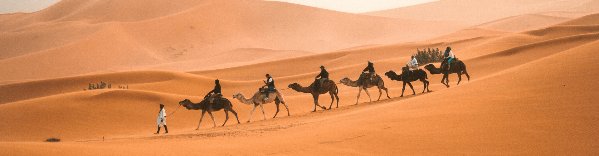 Usamljeni jahači kamila u pustinji