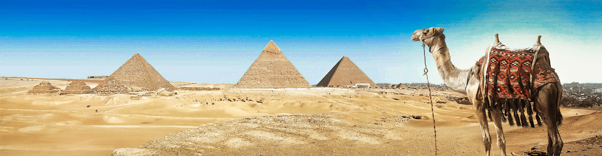 Egipatske piramide i kamila