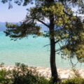 Thumbnail of http://Hotel%20Paradise%20Kriopigi%20plaža