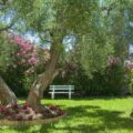 Thumbnail of http://Hotel%20Julia%20Fourka%20dvorište