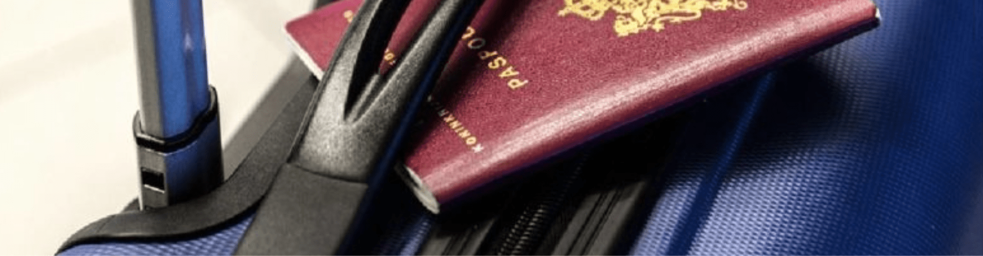 Ees sistem vazne informacije