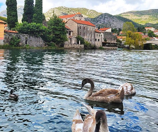 Trebinje, Aqua Travel