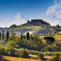 Thumbnail of http://Toskana%20Dan%20Primirja%202026%20-%20Aqua%20Travel.rs%20(4)