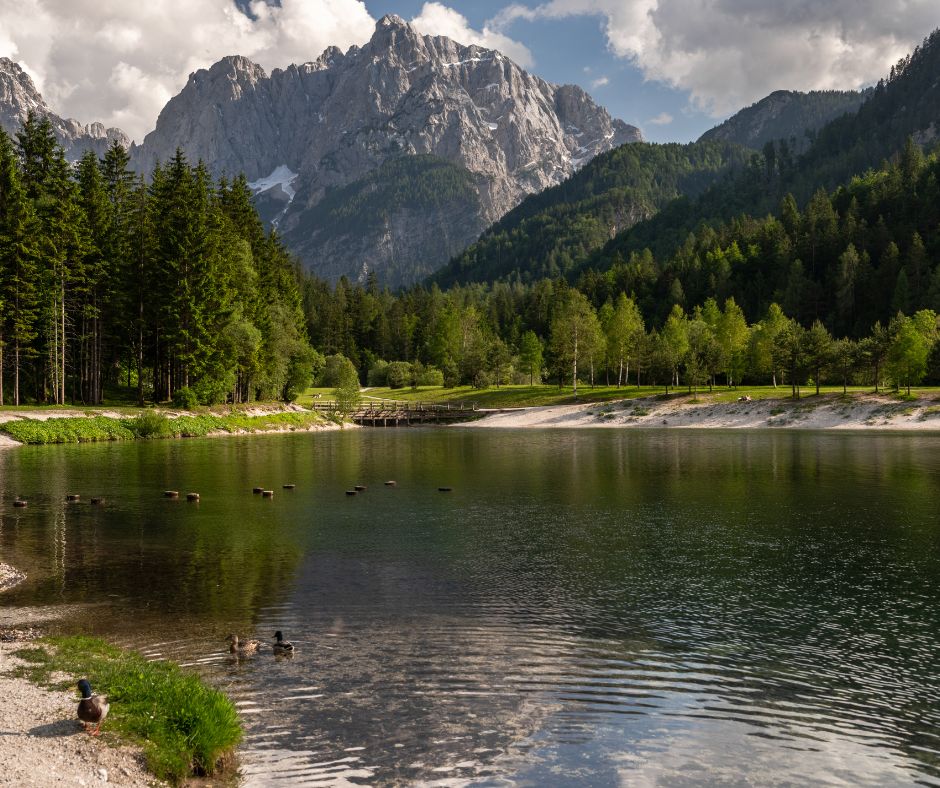 Udine i outlet Palmanova - Aqua Travel.rs (7)